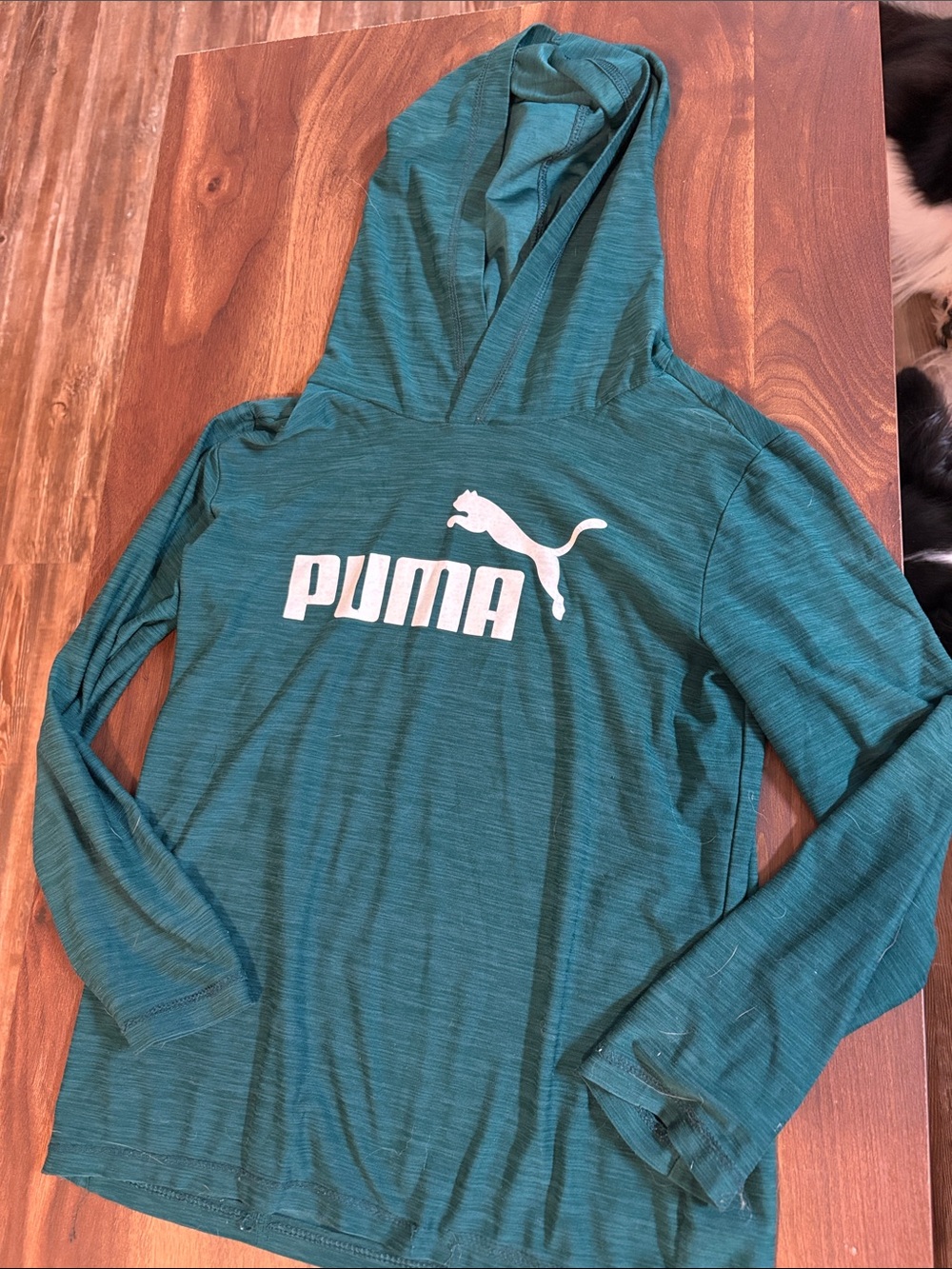Kids youth size small long sleeve t shirt with hood. Like new. No size tag